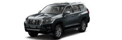 Логотип Toyota LC Prado